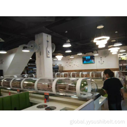 Refrigerated Single-Layer Conveyor Belt Refrigerated single-layer conveyor belt Manufactory